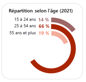 Graphique présentant la répartition de l'emploi selon l'âge en 2021